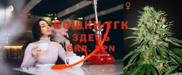 соль ск Арсеньев