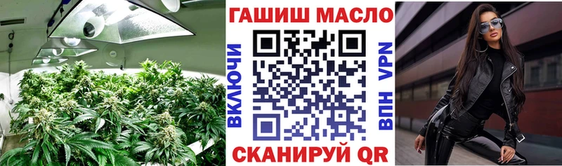 дарнет шоп ссылка на мегу сайт Дистиллят ТГК вейп Чудово