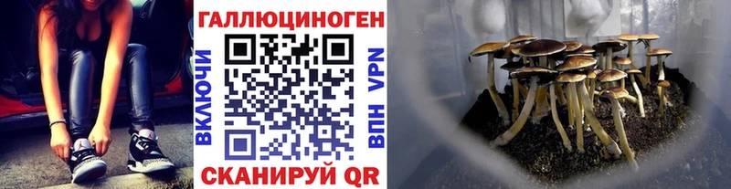 купить закладку  Чудово  кракен как войти  Галлюциногенные грибы Cubensis 